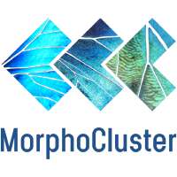 MorphoCluster Image