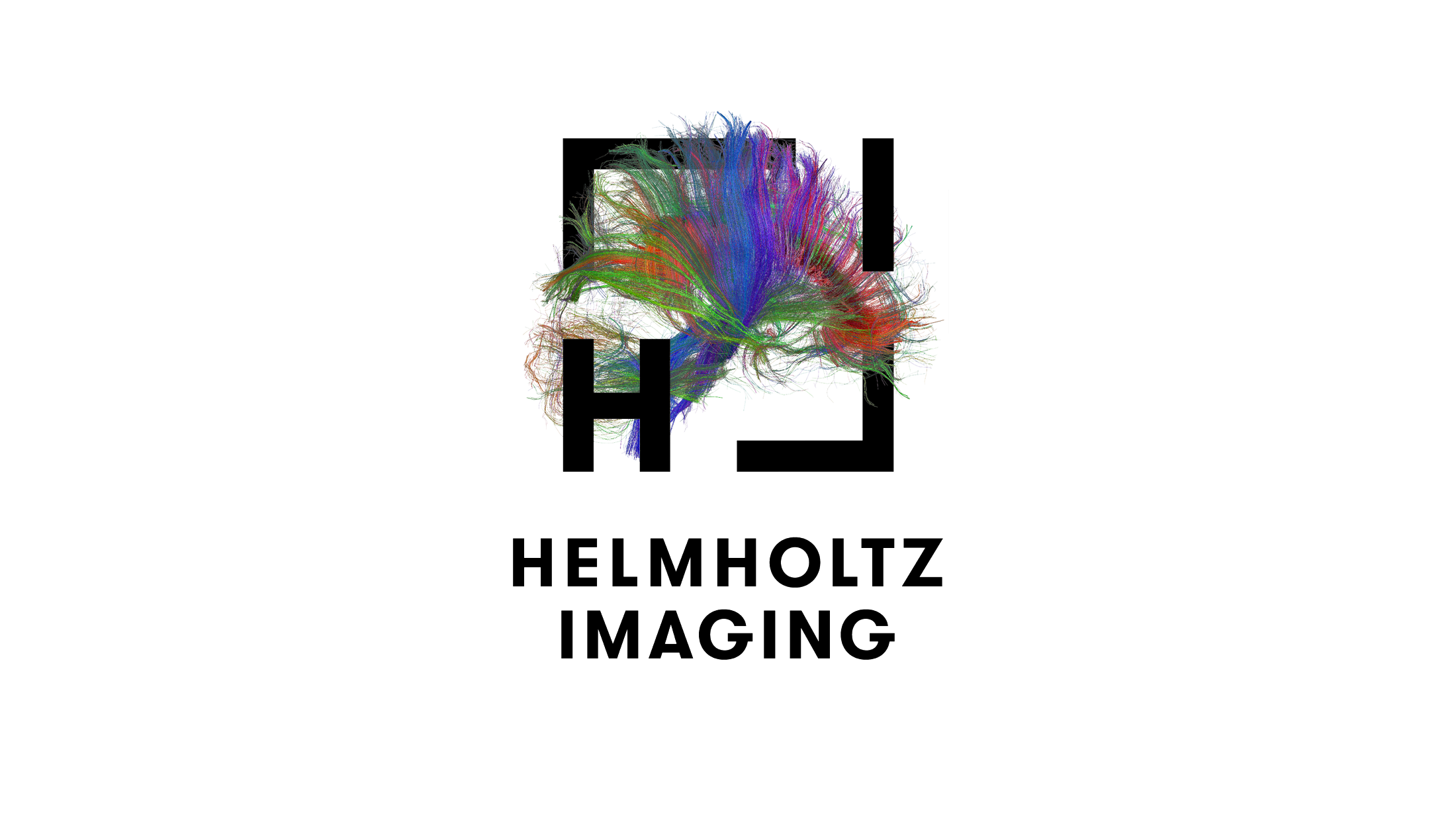 Helmholtz Imaging Image