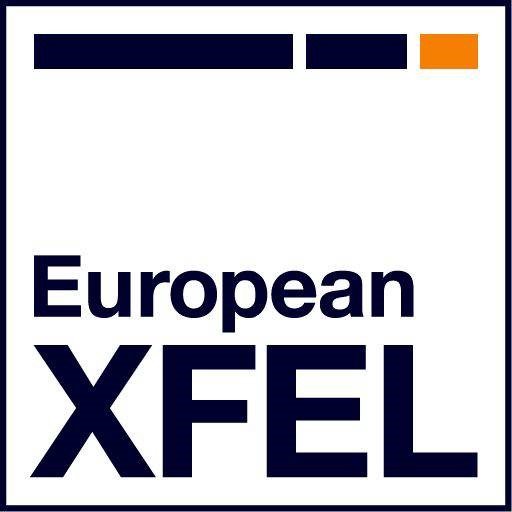 European XFEL Image